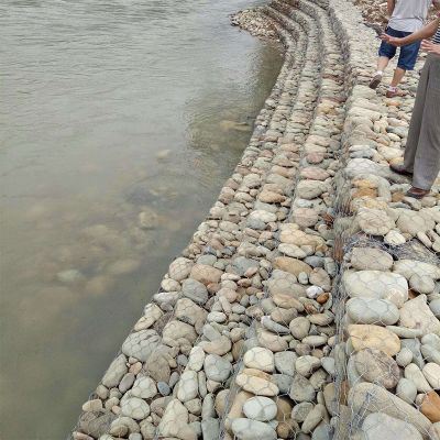 石笼网对河岸固定阶段进行阶梯式改造